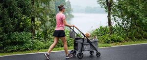 What Is the Best Pet Stroller? A Practical Guide for Pet Parents