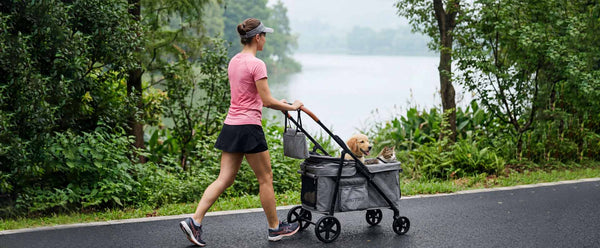 What Is the Best Pet Stroller? A Practical Guide for Pet Parents