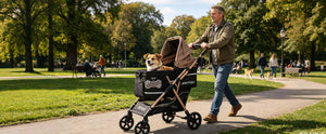 First Tricycle: What Parents Should Actually Know Before Buying One