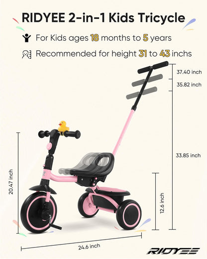 Portable Toddler Tricycle with Push Handle