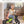 Classic Toddler Tricycle with Wide Wheelbase