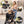 Pet Stroller with Detachable Carrier