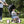 8-in-1 Convertible Toddler Tricycle with Canopy