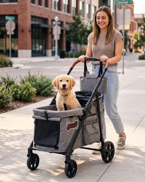 Pet Stroller for Medium Dogs with Canopy