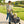 Pet Stroller for Medium Dogs with Canopy