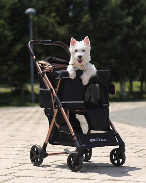 Pet Stroller with Detachable Carrier